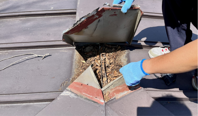 屋根点検のイメージ