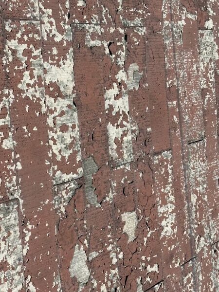 U様邸|スレート屋根塗装(ウルトラSi遮熱)_施行前4