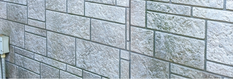 コケが生えた外壁