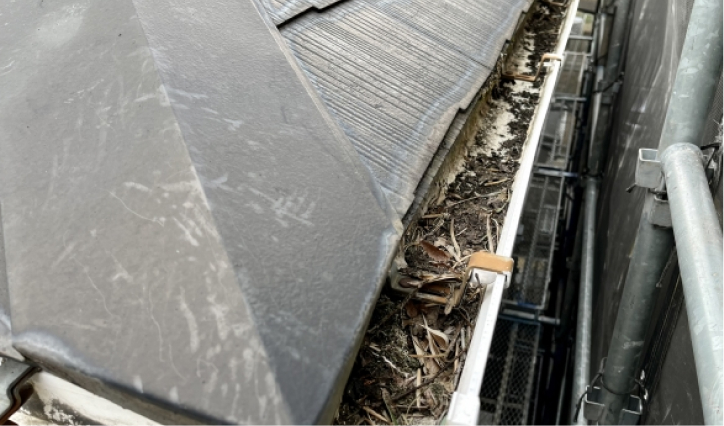 雨どいの掃除、点検