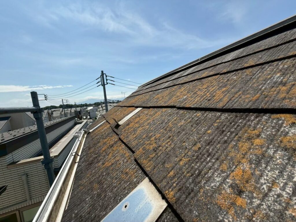 色あせやコケが広がり屋根塗装が必要か判断が必要な屋根の全体写真